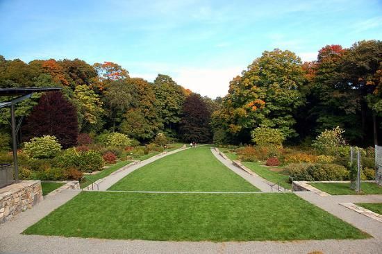 Boston Outdoors Arnold Arboretum