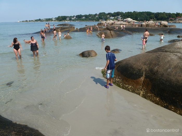 Wingaersheek Beach