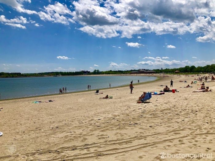 boston beaches near harvard university