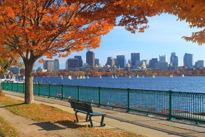 charles river esplanade things to do near harvad