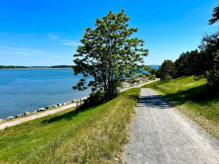 Spectacle Island Boston Hiking Paths