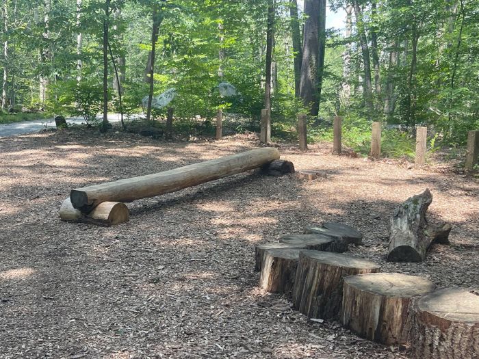 garden in the woods native plant trust family play area