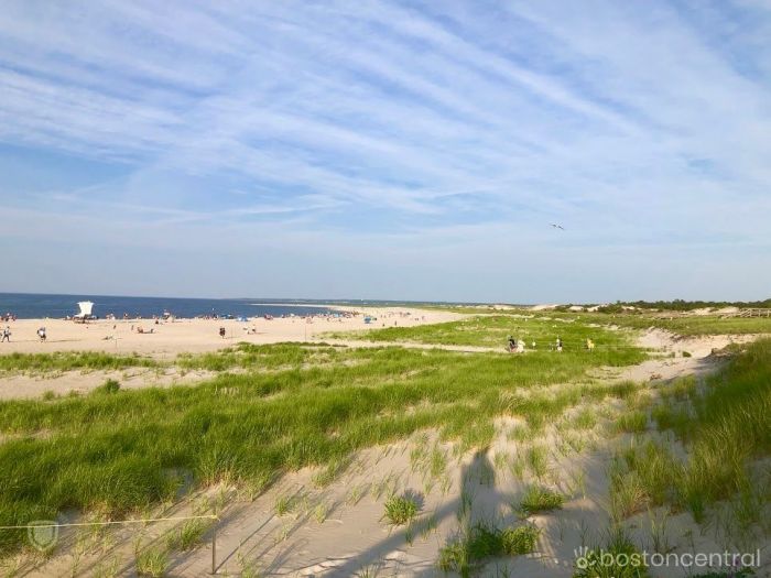 crane beach boston daytrips