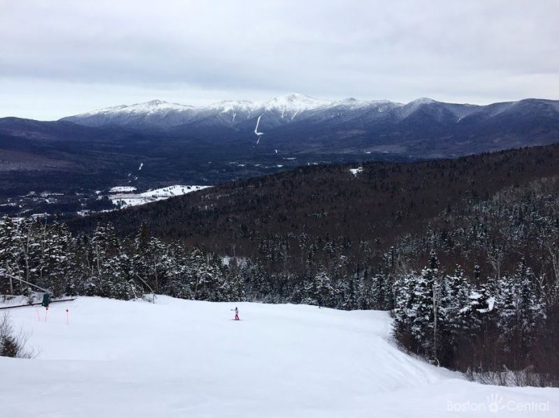 bretton woods skier with mount washington background