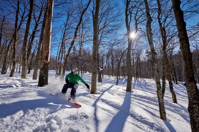 skiing near boston