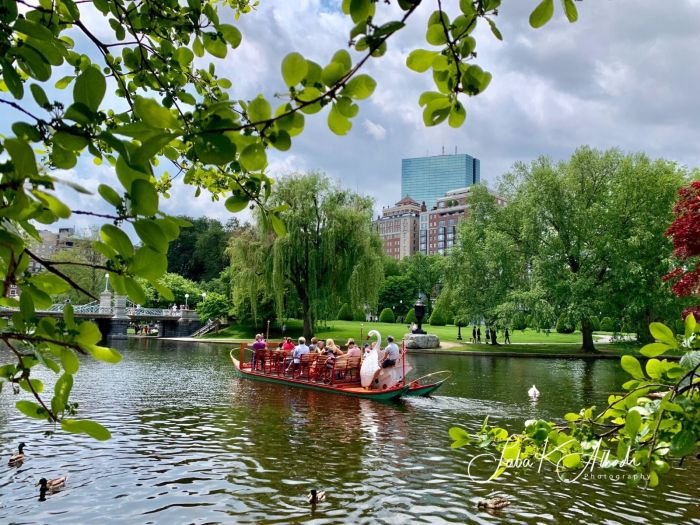 Swan Boat Boston Things to do with kids