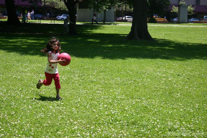 Boston Common Fun Ami Sao Boston Kids