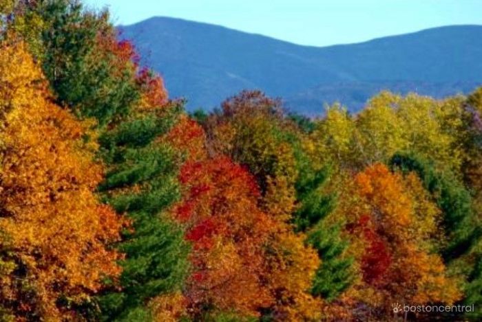 fall-foliage-near-boston-october