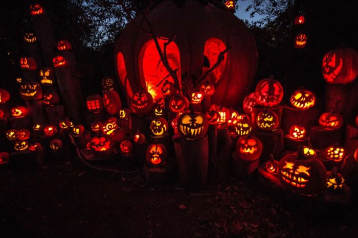 jack-o-lantern-spectacular-roger-williams-zoo