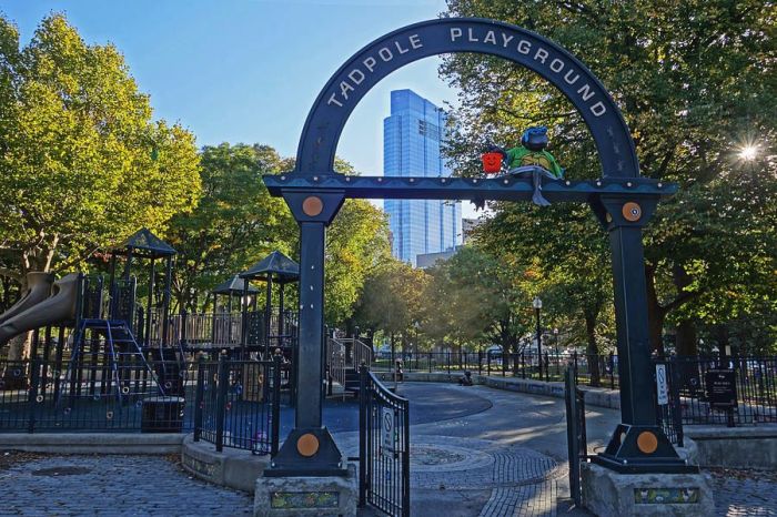 boston-frog-pond-tadpole-playground