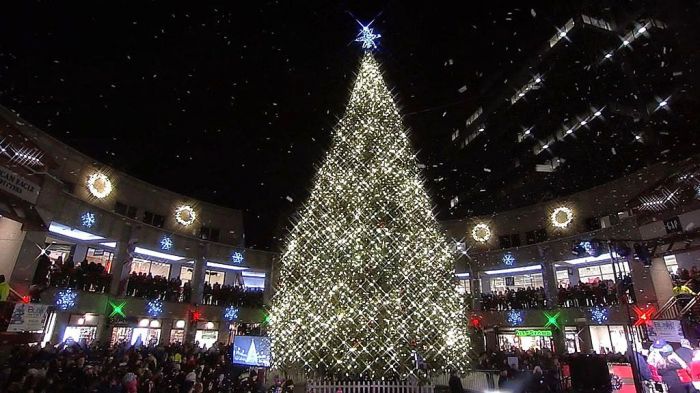 Faneuil Hall Tree Lighting