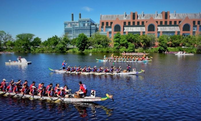 boston dragon boat festival