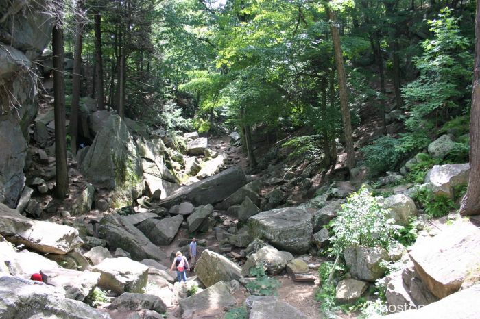 Purgatory Chasm State Reservation MA