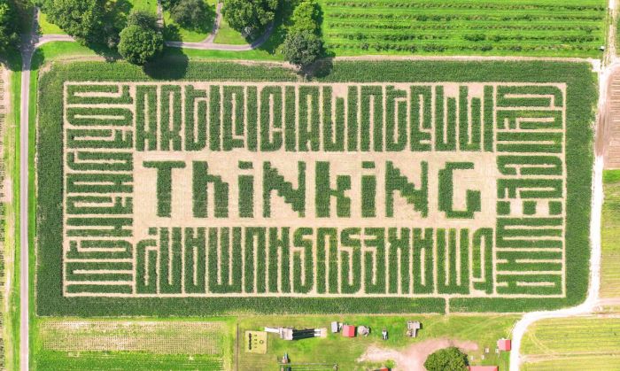 corn maze near boston massachusetts