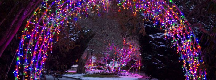 Boston Holiday Lights Gardens Aglow Sandwich