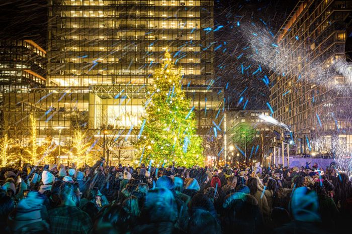 boston holiday lights seaport tree