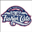 new hampshire fisher cats minor league baseball small photo