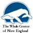 the whale center of new england small photo