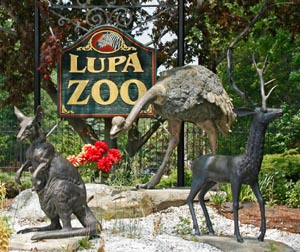 lupa zoo photo