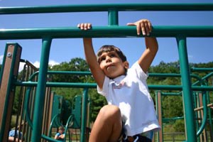 nara park  playground photo