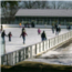 larz anderson kirrane ice skating rink small photo