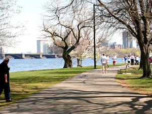 the charles river esplanade photo