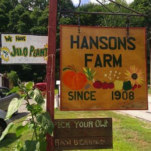 hansons farm photo