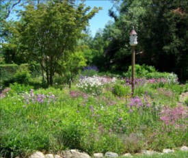 green briar nature center  jam kitchen photo