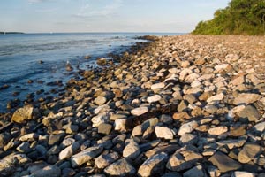 odiorne point state park photo