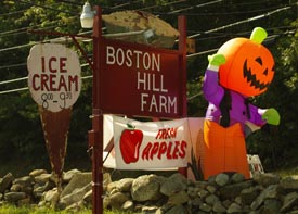 boston hill farm photo