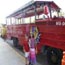 duck boats boston tours small photo