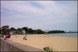 wollaston beach photo