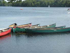 cochituate state park photo