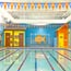 goldfish swim school small photo