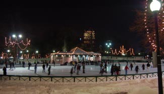 ice skating on frog pond photo