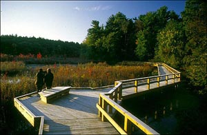 broadmoor wildlife sanctuary photo