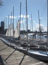 community boating  sailing photo