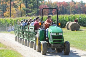 charmingfare farm photo