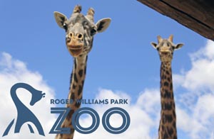 roger williams park zoo photo