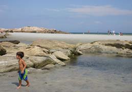 wingaersheek beach photo