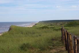 cape cod national seashore photo