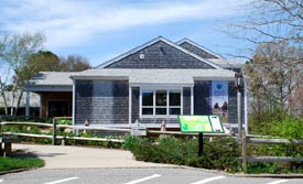 cape cod museum of natural history photo