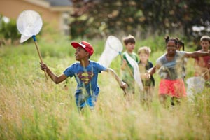 mass audubon summer camps photo