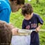 mass audubon summer camps small photo