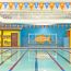 goldfish swim school small photo