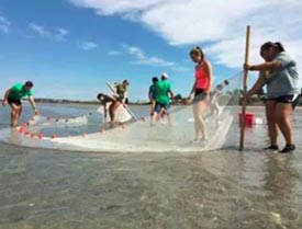 coastal ocean science academy summer programs photo