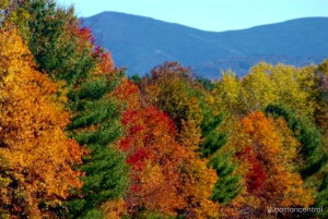 new england fall foliage hotlines  websites photo