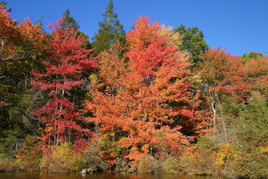 great spots to view fall foliage - new england photo