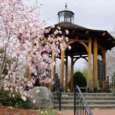 celebrate arbor day at tower hill botanic garden photo