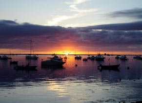 plymouth maritime day photo